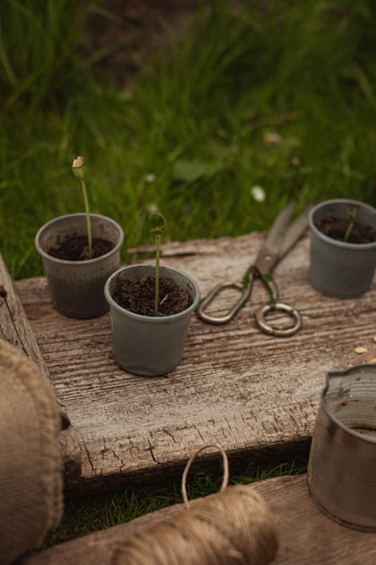 Finding Community Support